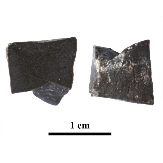 Tessera 0013008708-2. Cástulo (Linares, Jaén, Spain)