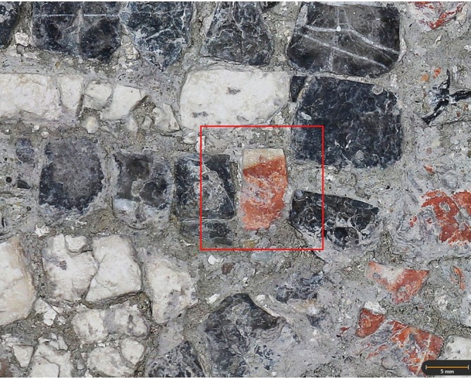 Tessera 35. Scrollworks mosaic (Jaén, Spain)