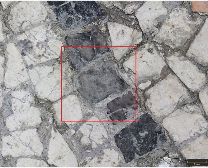 Tessera 45. Scrollworks mosaic. Marroquíes Altos (Jaén, Spain))