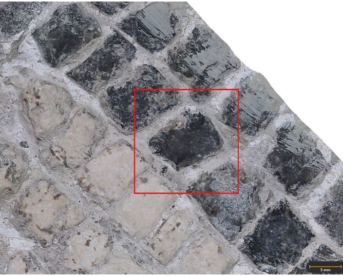 Tesela 9. Mosaico de los Erotes, Marroquíes Altos (Jaén, España)