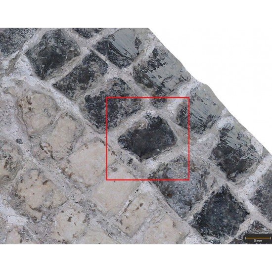 Tesela 9. Mosaico de los Erotes, Marroquíes Altos (Jaén, España)