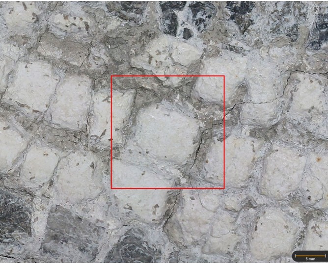 Tesela 18. Mosaico de los Erotes, Marroquíes Altos (Jaén, España)