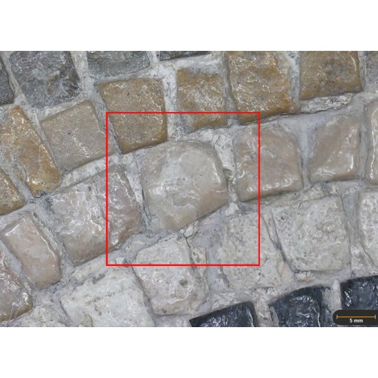 Tesela 44. Mosaico de Tetis, Marroquíes Altos (Jaén, España)