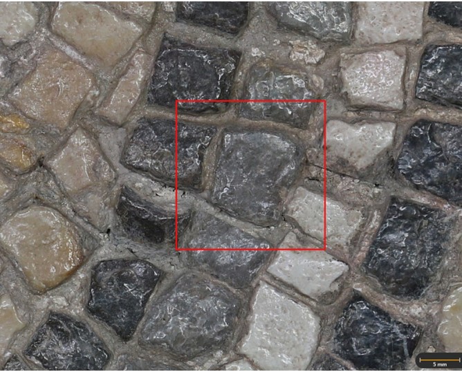 Tesela 56. Mosaico de Tetis, Marroquíes Altos (Jaén, España)