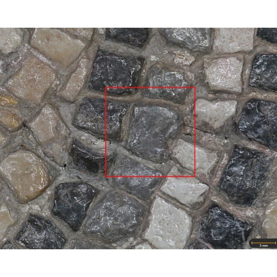 Tesela 56. Mosaico de Tetis, Marroquíes Altos (Jaén, España)