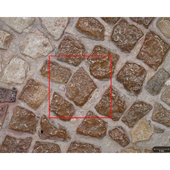 Tessera 67. Tethys mosaic, Marroquíes Altos (Jaén, Spain)