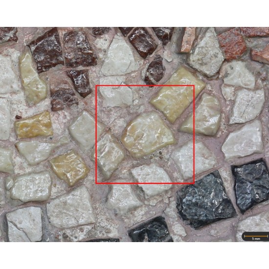 Tesela 82. Mosaico de Tetis, Marroquíes Altos (Jaén, España)