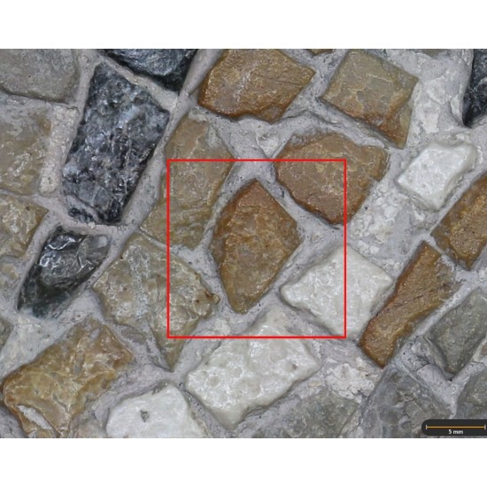 Tesela 88. Mosaico de Tetis, Marroquíes Altos (Jaén, España)
