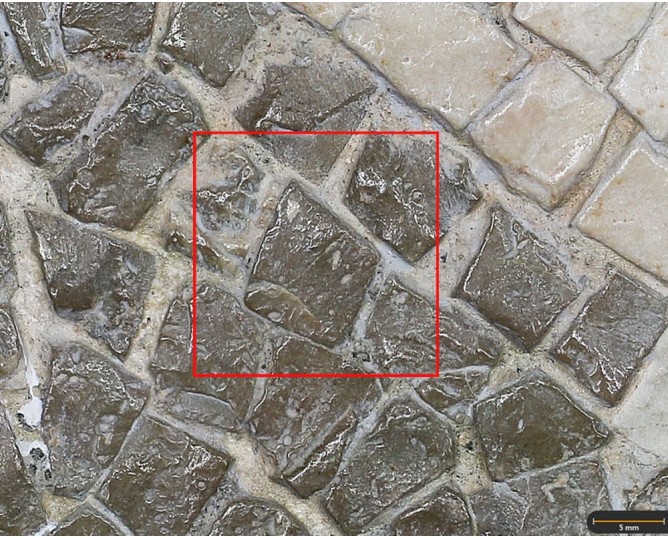 Tesela 5. Mosaico de Martos (Jaén, España)