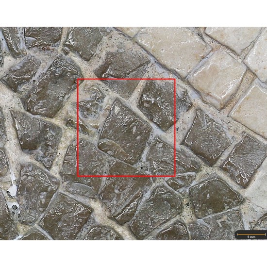 Tesela 5. Mosaico de Martos (Jaén, España)