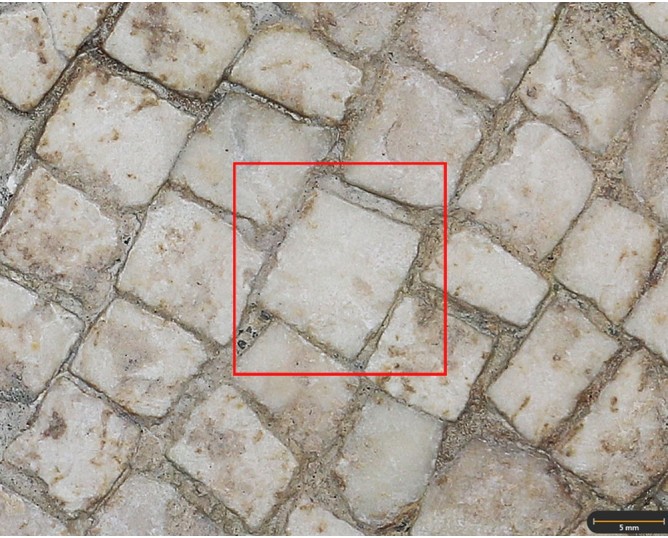Tessera 15. Mosaico de Martos (Jaén, Spain)