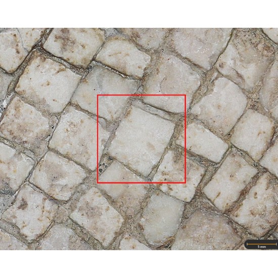 Tessera 15. Mosaico de Martos (Jaén, Spain)