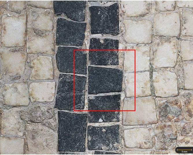 Tesela 10. Mosaico de Martos (Jaén, España)
