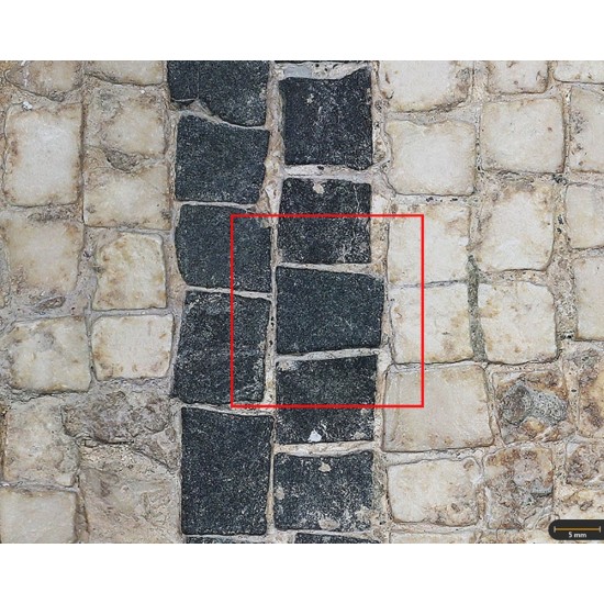 Tesela 10. Mosaico de Martos (Jaén, España)