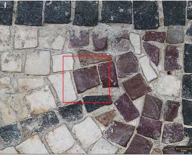 Tesela 20. Mosaico de Martos (Jaén, España)