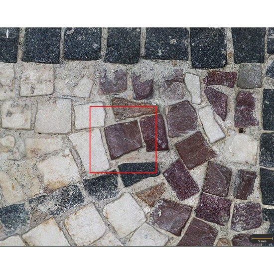 Tesela 20. Mosaico de Martos (Jaén, España)