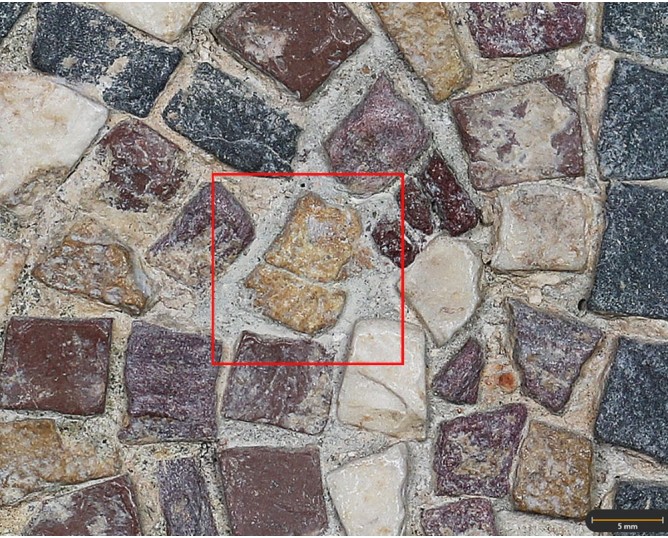 Tesela 23. Mosaico de Martos (Jaén, España)