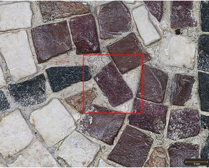Tessera 47. Martos mosaic (Jaén, Spain)