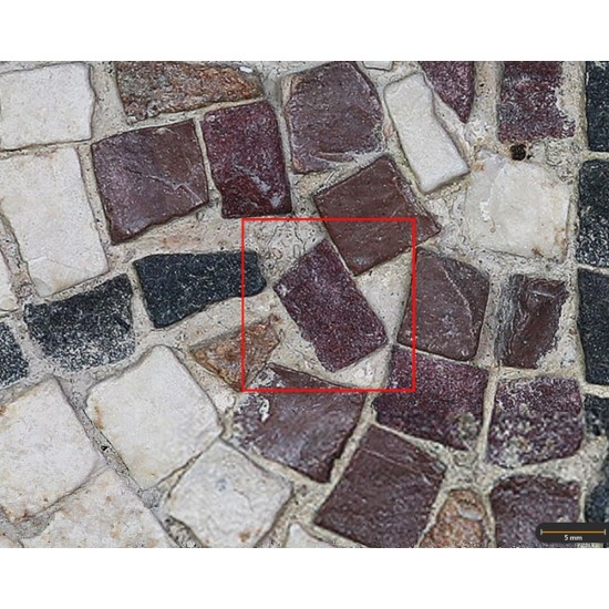 Tesela 47. Mosaico de Martos (Jaén, España)