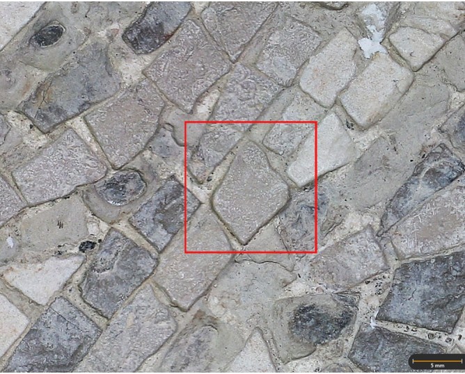Tesela 80. Mosaico de Martos (Jaén, España)