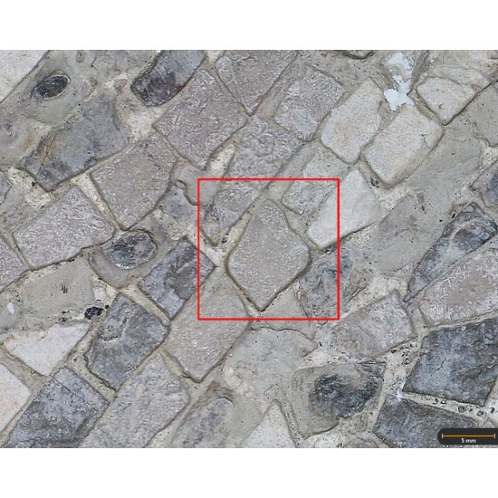 Tesela 80. Mosaico de Martos (Jaén, España)