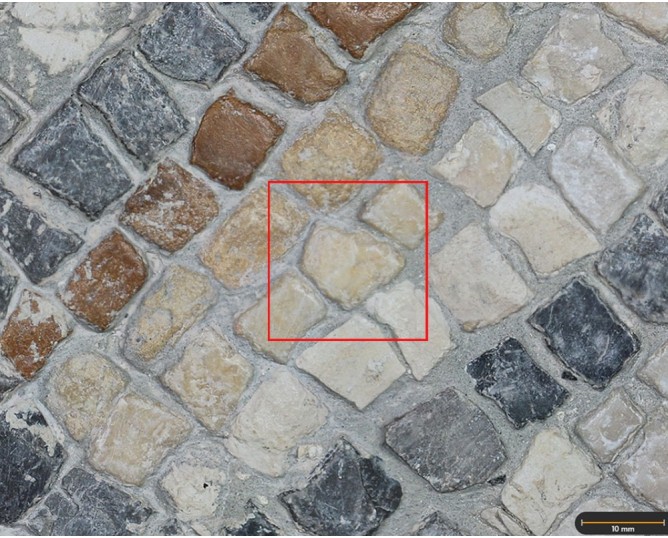 Tesela 11. Mosaico de Tetis, Villa de Bruñel (Quesada, Jaén, España)