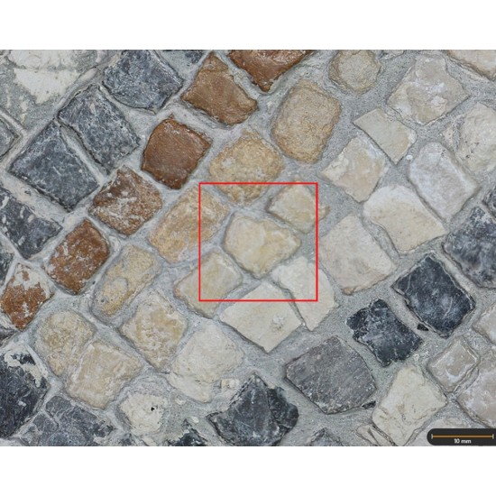 Tesela 11. Mosaico de Tetis, Villa de Bruñel (Quesada, Jaén, España)