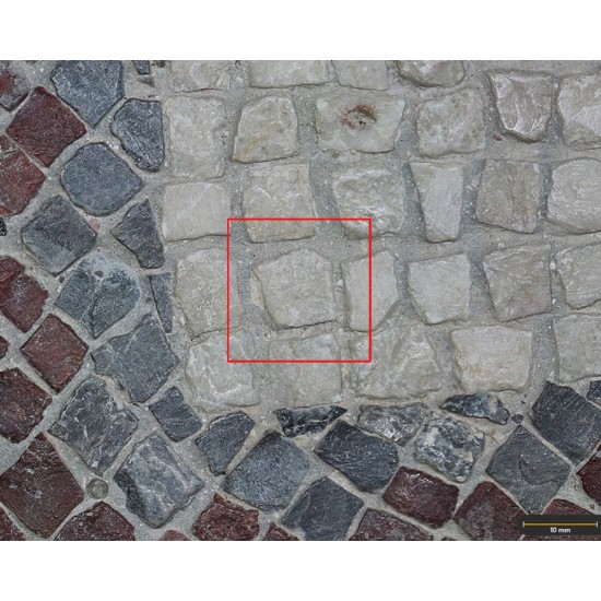Tesela 20. Mosaico de Tetis, Villa de Bruñel (Quesada, Jaén, España)