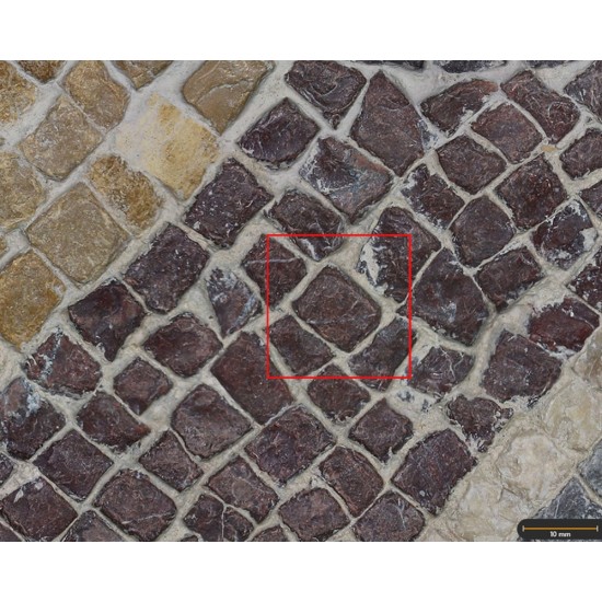 Tesela 25. Mosaico de Tetis, Villa de Bruñel (Quesada, Jaén, España)