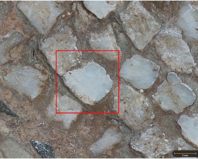 Tesela 1. Mosaico de Fuente de la Peñuela (Santisteban del Puerto, Jaén, España)