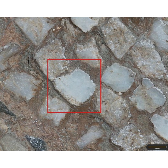 Tesela 1. Mosaico de Fuente de la Peñuela (Santisteban del Puerto, Jaén, España)