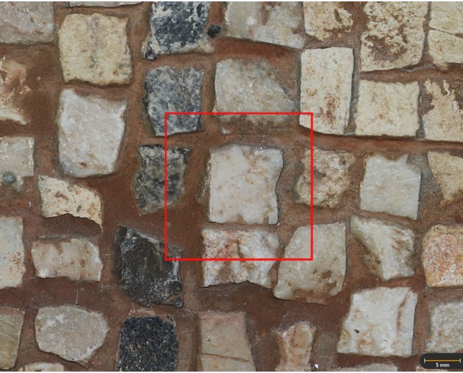 Tessera 6. Mosaic of Fuente de la Peñuela (Santisteban del Puerto, Jaén, Spain)