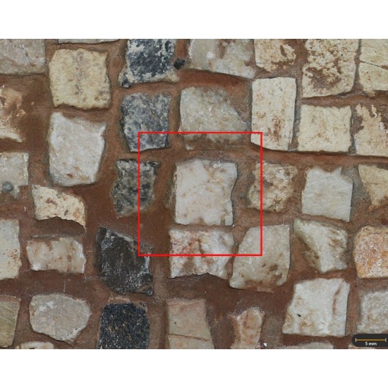 Tesela 6. Mosaico de Fuente de la Peñuela (Santisteban del Puerto, Jaén, España)