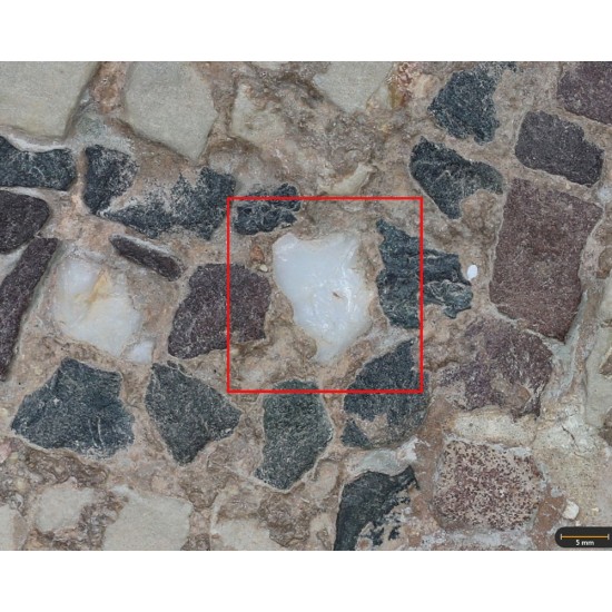 Tesela 11. Mosaico de Fuente de la Peñuela (Santisteban del Puerto, Jaén, España)