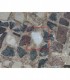Tesela 11. Mosaico de Fuente de la Peñuela (Santisteban del Puerto, Jaén, España)