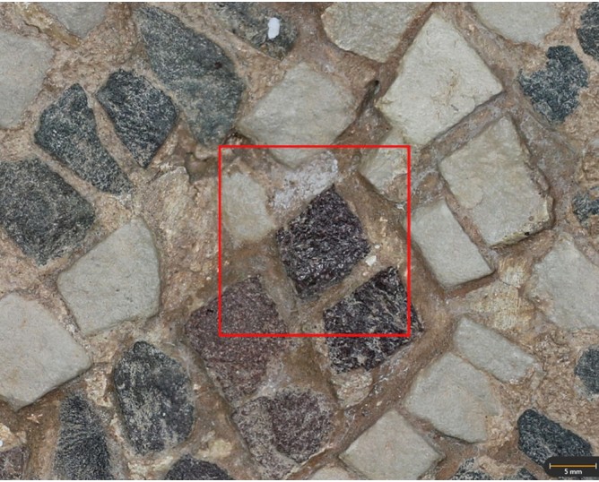Tesela 31. Mosaico de Fuente de la Peñuela (Santisteban del Puerto, Jaén, España)