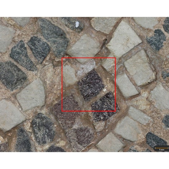 Tesela 31. Mosaico de Fuente de la Peñuela (Santisteban del Puerto, Jaén, España)