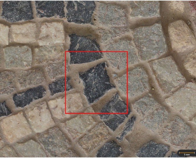 Tessera 8. Octagons mosaic (Cástulo, Linares, Spain)