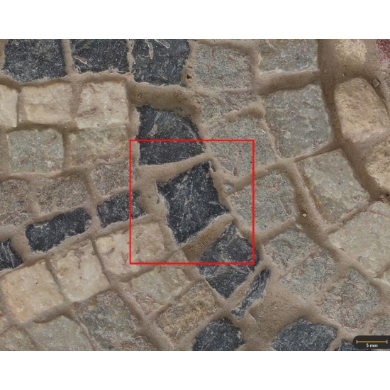Tesela 8. Mosaico de los Octógonos (Cástulo, Linares, España)