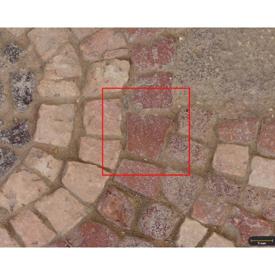 Tesela 16. Mosaico de los Octógonos (Cástulo, Linares, España)