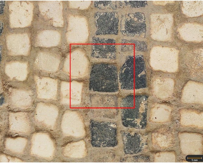 Tesela 5. Cástulo. Mosaico de las Estrellas (Cástulo, Linares, España)