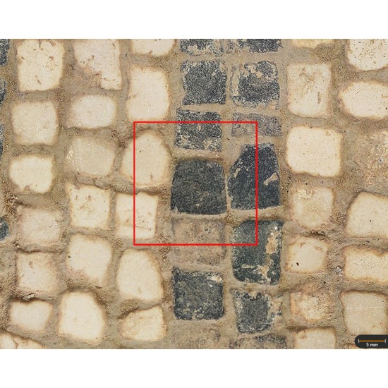 Tessera 5. Cástulo. Stars Mosaic (Cástulo, Linares, Spain)