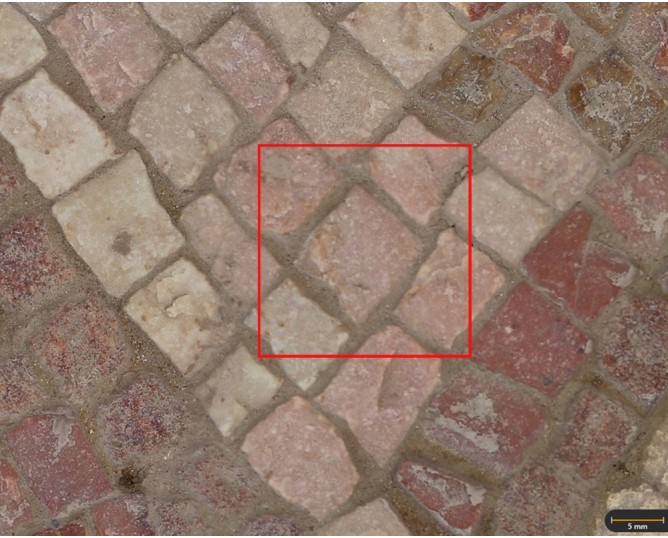 Tessera 27. Octagons mosaic (Cástulo, Linares, Spain)