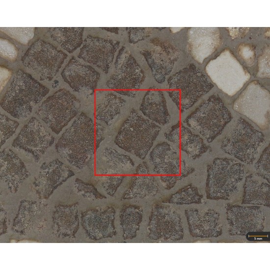 Tessera 24. Stars Mosaic (Cástulo, Linares, Spain)