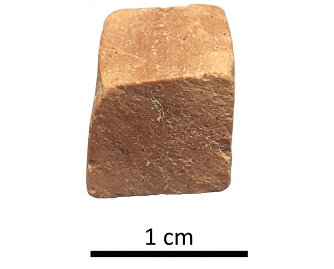 Tessera 2. Colonia Salaria (Úbeda, Jaén, Spain)