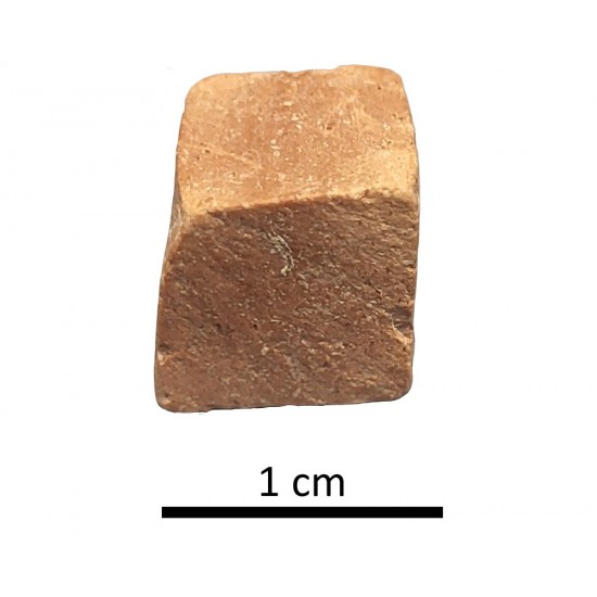 Tesela 2. Colonia Salaria (Úbeda, Jaén, España)