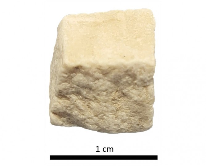 Tesela 3. Colonia Salaria (Úbeda, Jaén, España)