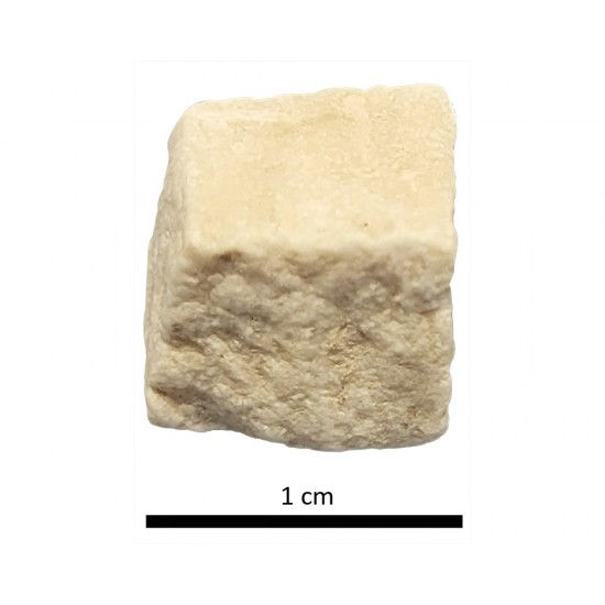 Tesela 3. Colonia Salaria (Úbeda, Jaén, España)