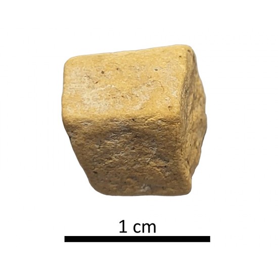 Tessera 4. Colonia Salaria (Úbeda, Jaén, Spain)