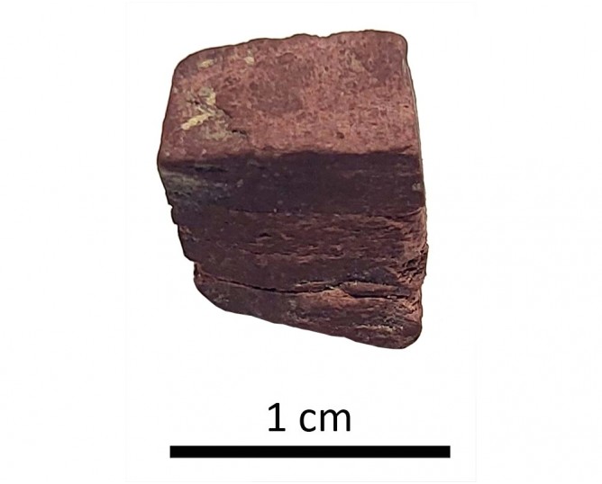 Tesela 5. Colonia Salaria (Úbeda, Jaén, España)